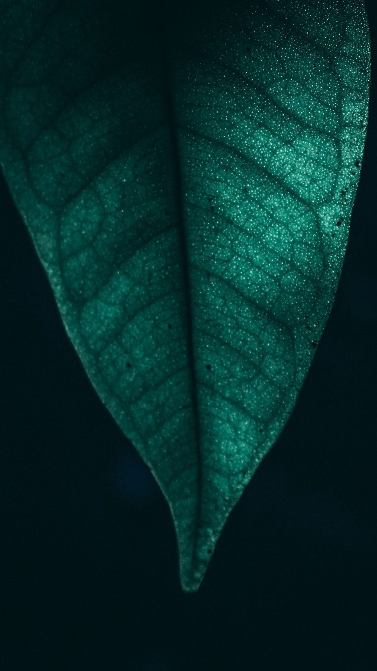 Mobile Green 4k Wallpapers - Wallpaper Cave