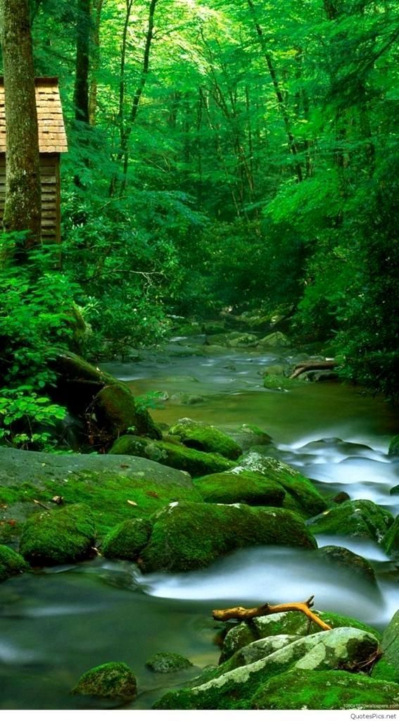 Nature Background HD For Mobile