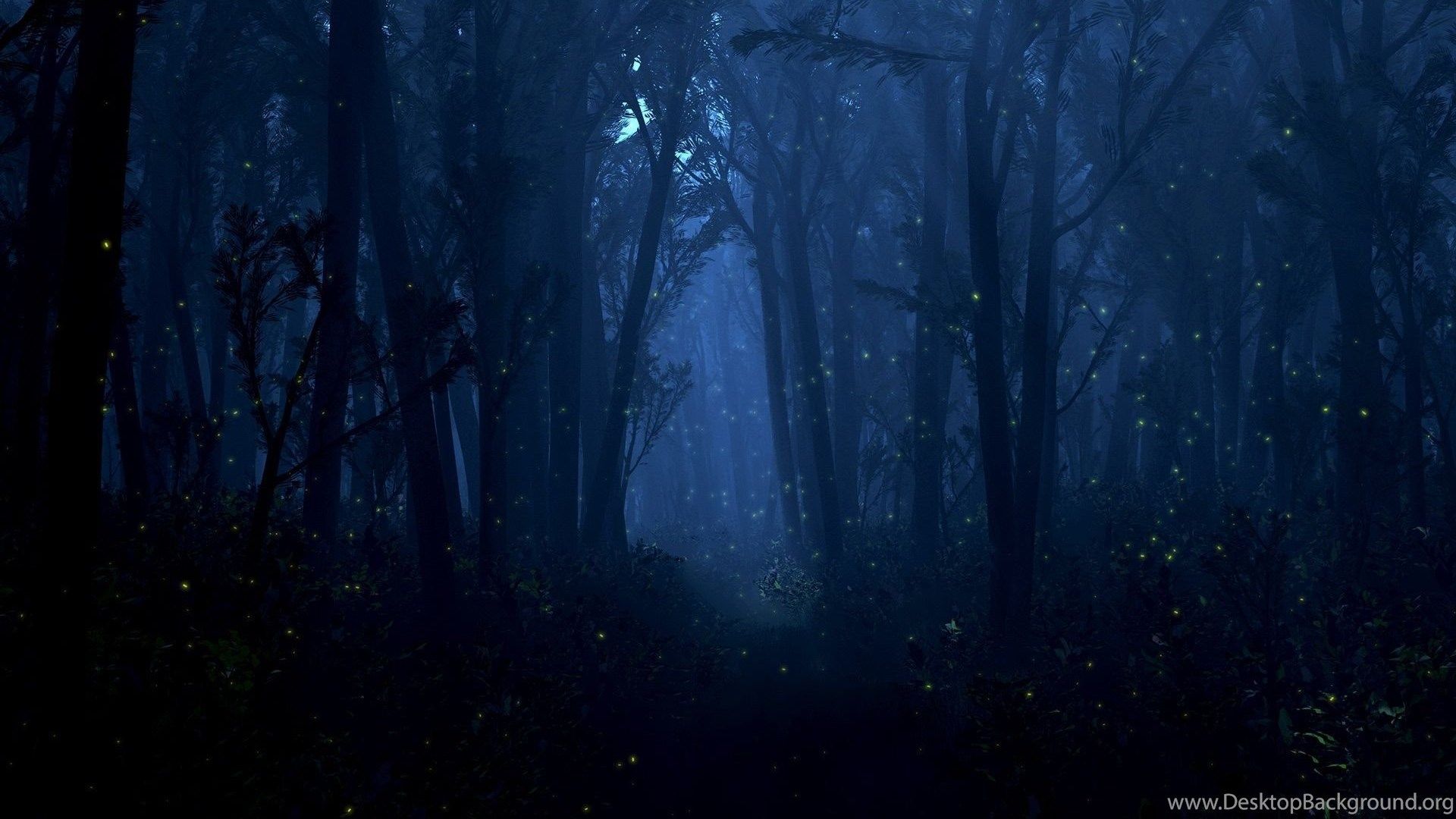 Digital Blasphemy, Night, Forest, Summer, Wallpaper Desktop Background