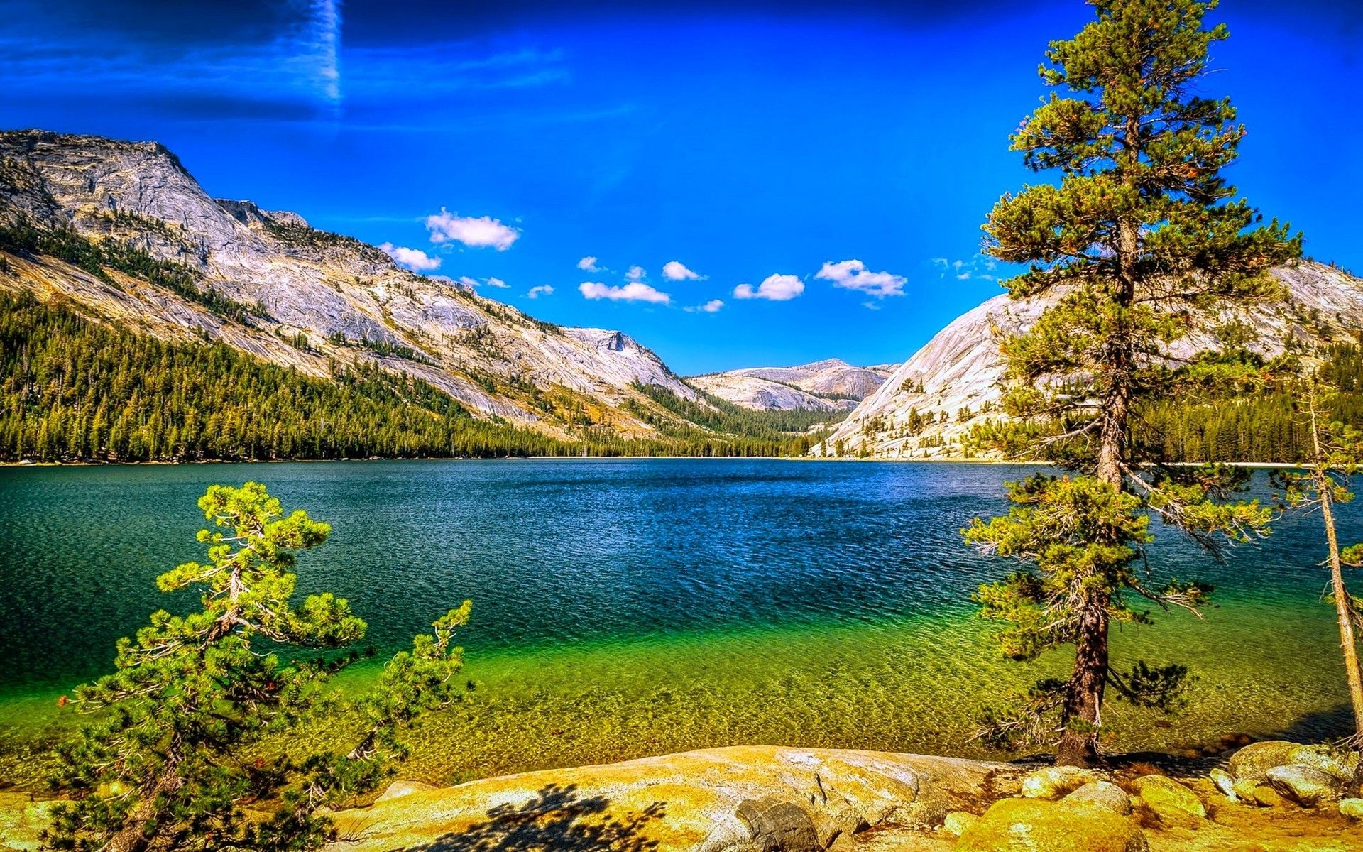 nature landscape lake mountains forest summer trees blue sky yosemite national park california wallpaper