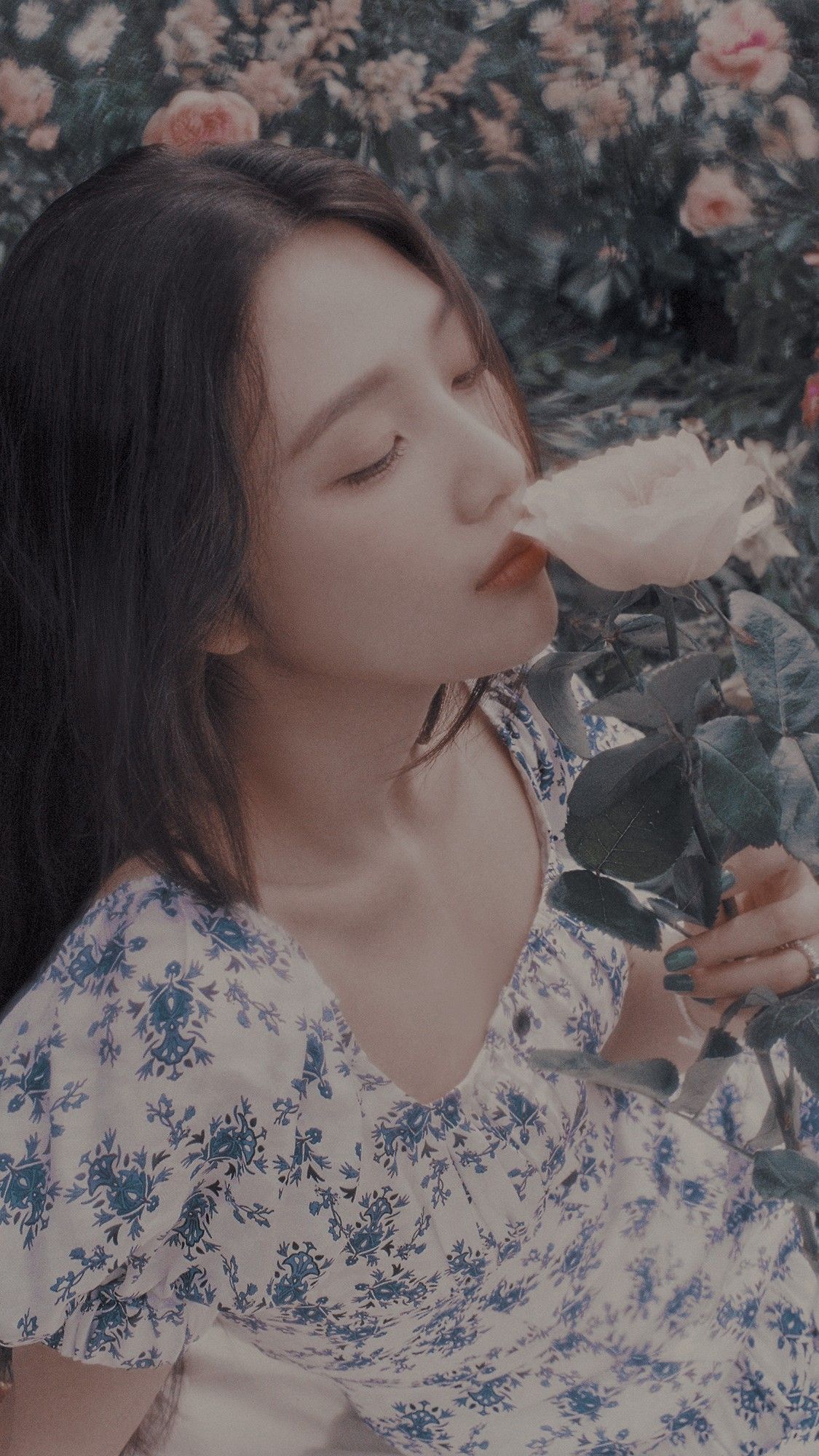 red velvet joy hello teaser wallpaper 4K of Wallpaper for Andriod