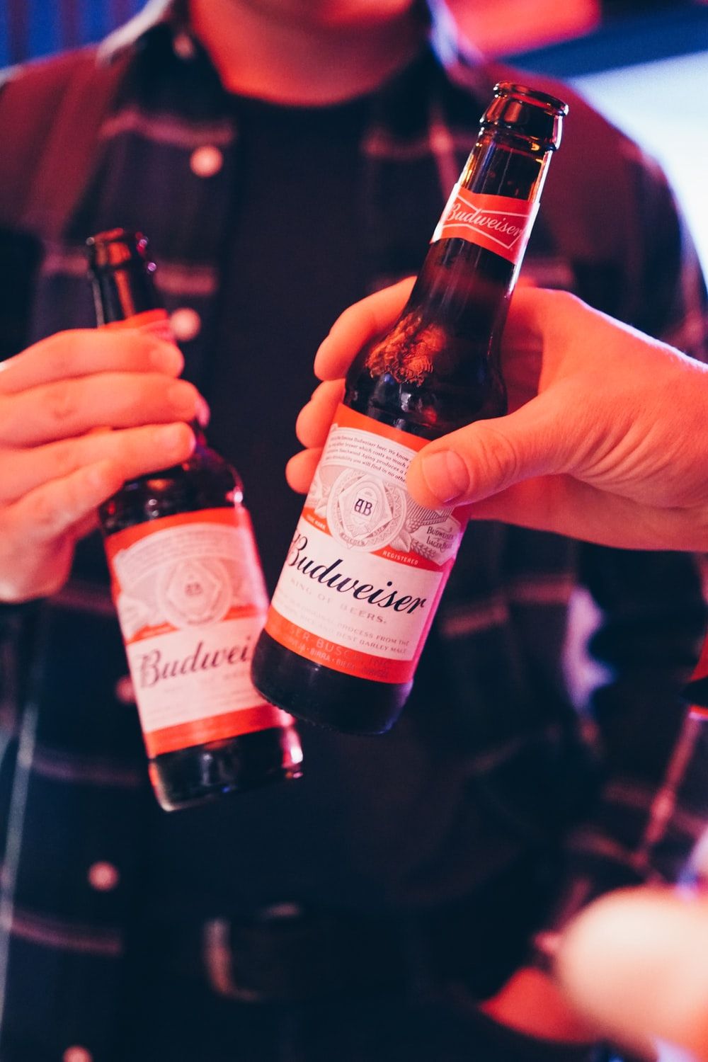 Budweiser Picture [HD]. Download Free Image