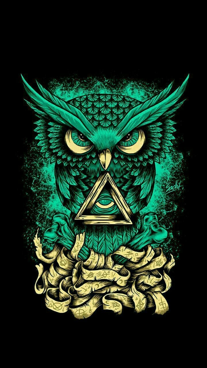 Owl, Wallpaper, And Green Image