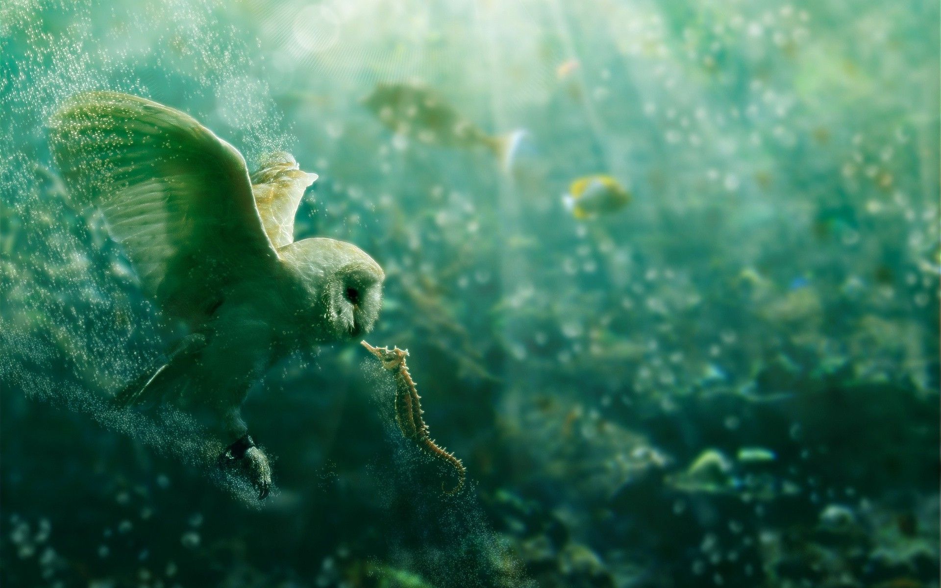 Green Owl Wallpapers - Wallpaper Cave Green Owl Wallpapers - Wallpaper Cave