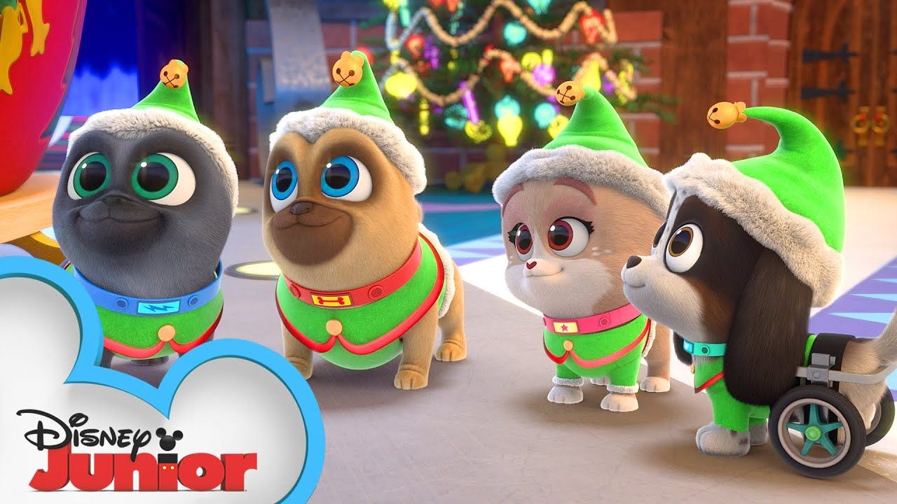Merry Christmas from Bingo, Rolly, and Keia!