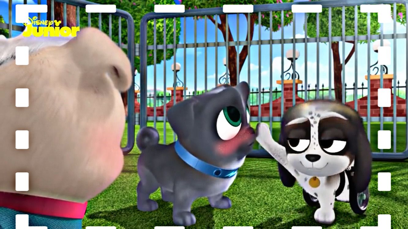 puppydogpals & similar hashtags