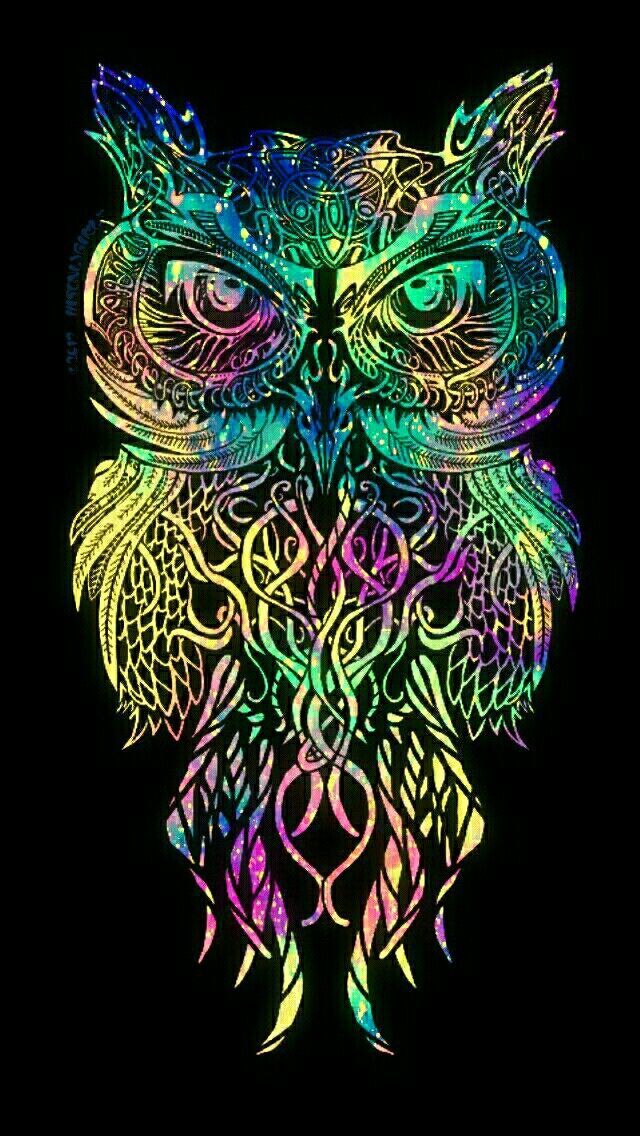 Green Owl Wallpapers Wallpaper Cave