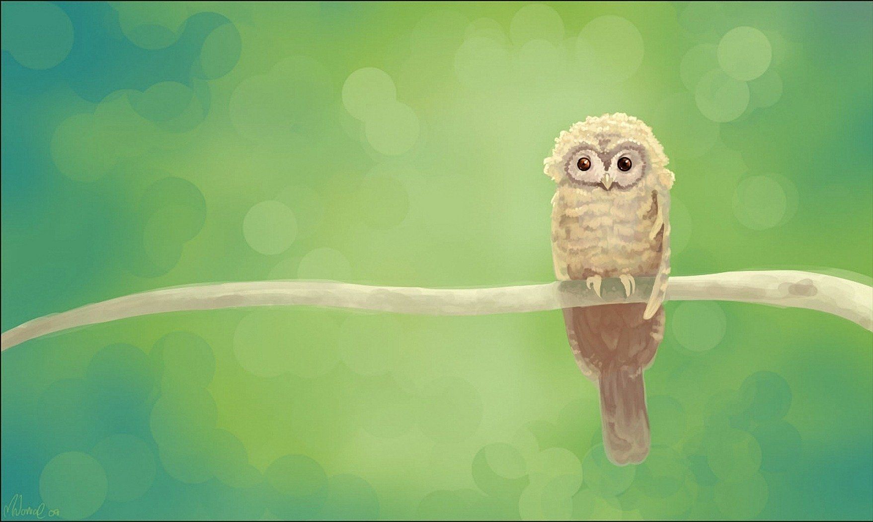 Owl Wallpaper and Background Imagex1050