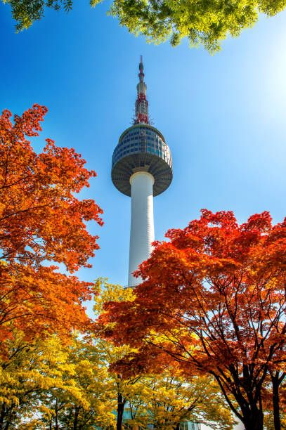 Namsan Tower Wallpapers Wallpaper Cave