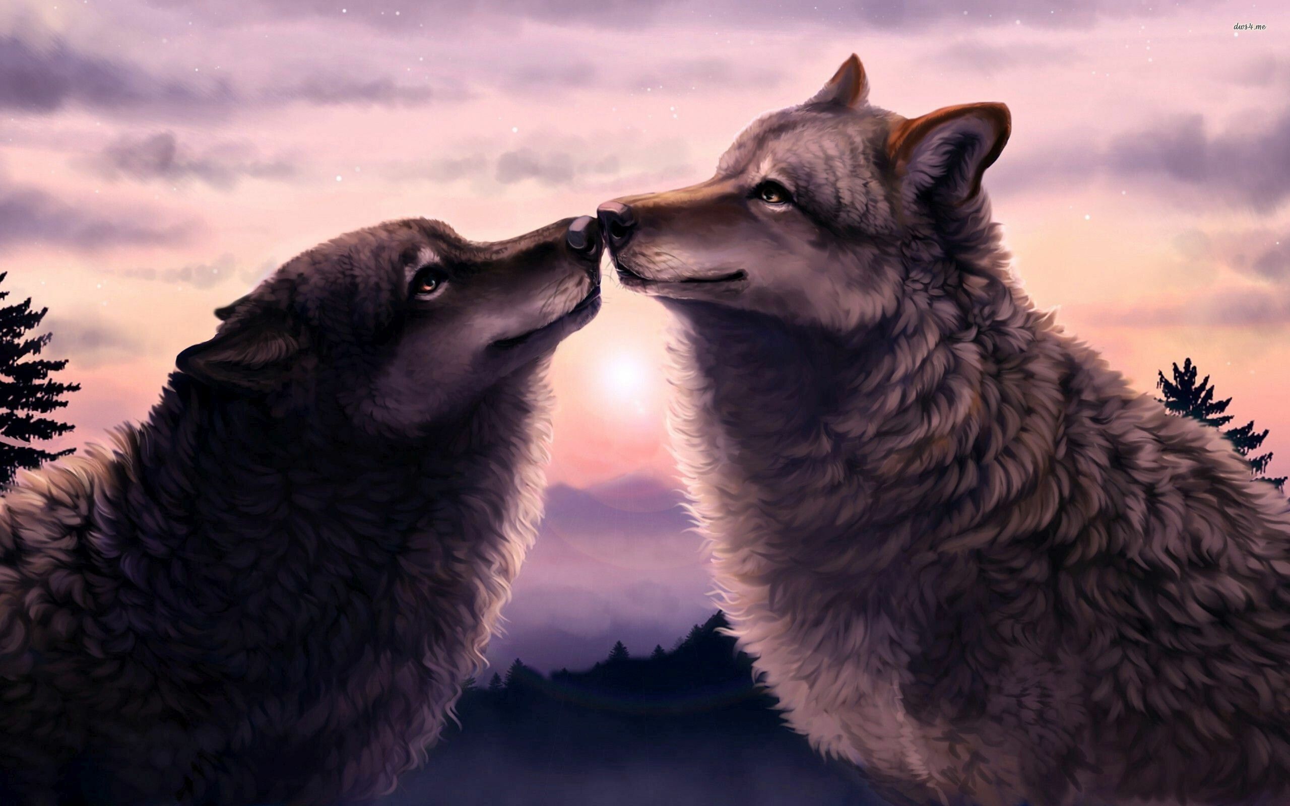 Love Wolf Wallpaper: HD, 4K, 5K for PC and Mobile. Download free image for iPhone, Android