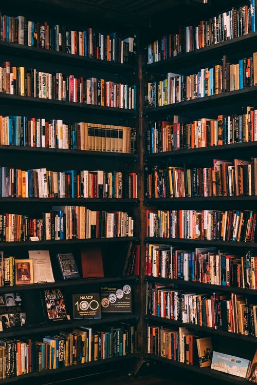 Best Bookshelf Photo · 100% Free Downloads