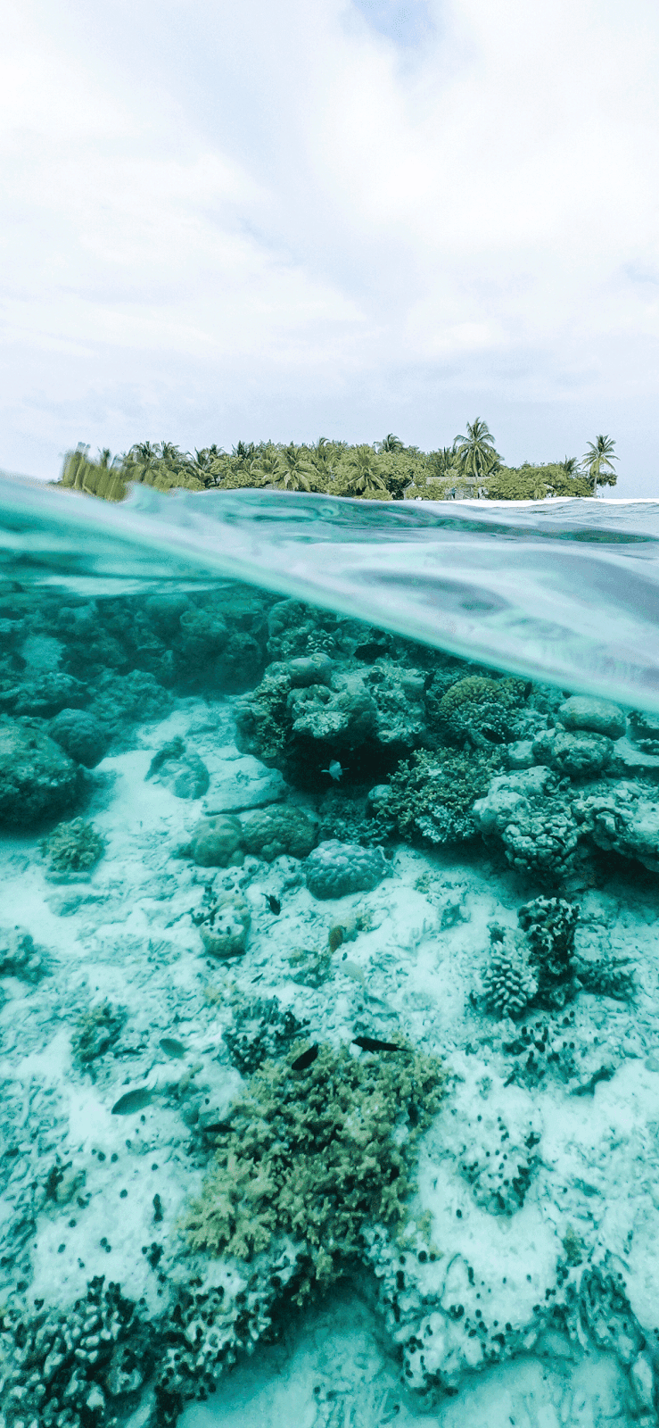 Underwater Ocean Wallpaper iPhone