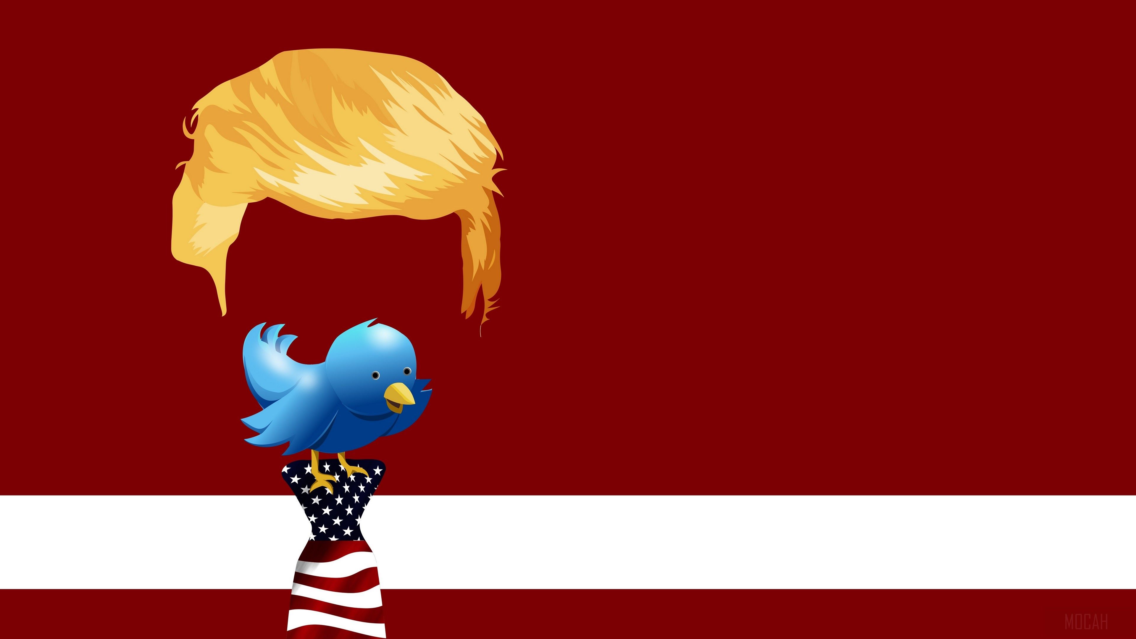 Donald Trump HD wallpaper, Background
