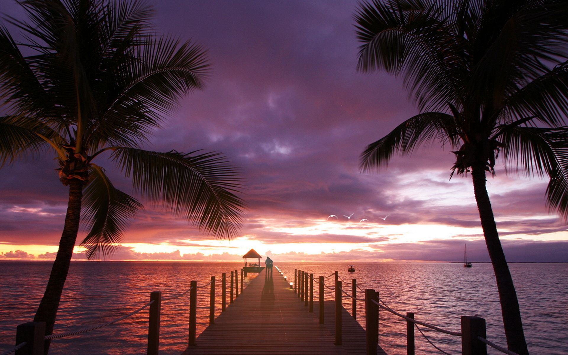 live wallpaper free download: Beautiful Summer 2012 romantic place is a great wallpaper for your