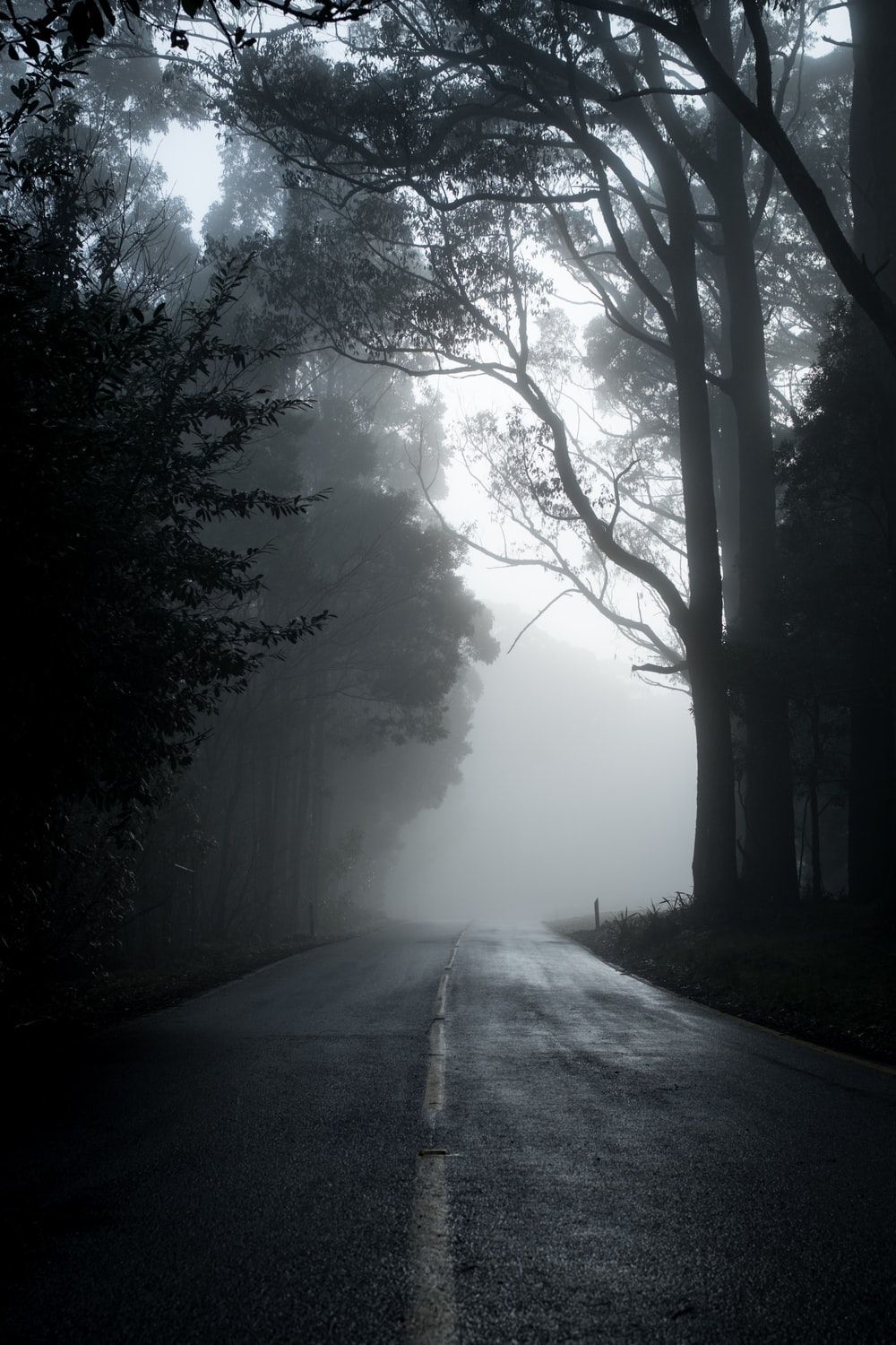 Dark Road Picture. Download Free Image