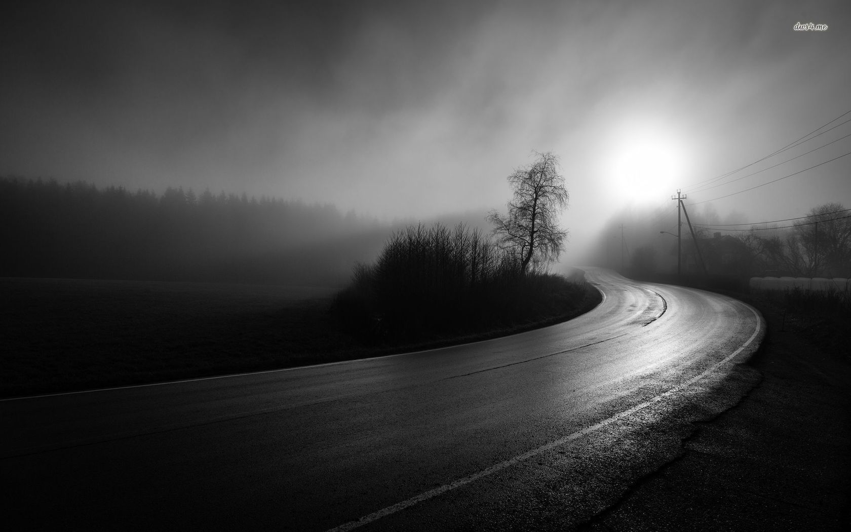 Dark empty road HD wallpaper. Empty road, Fog photography, Dark road