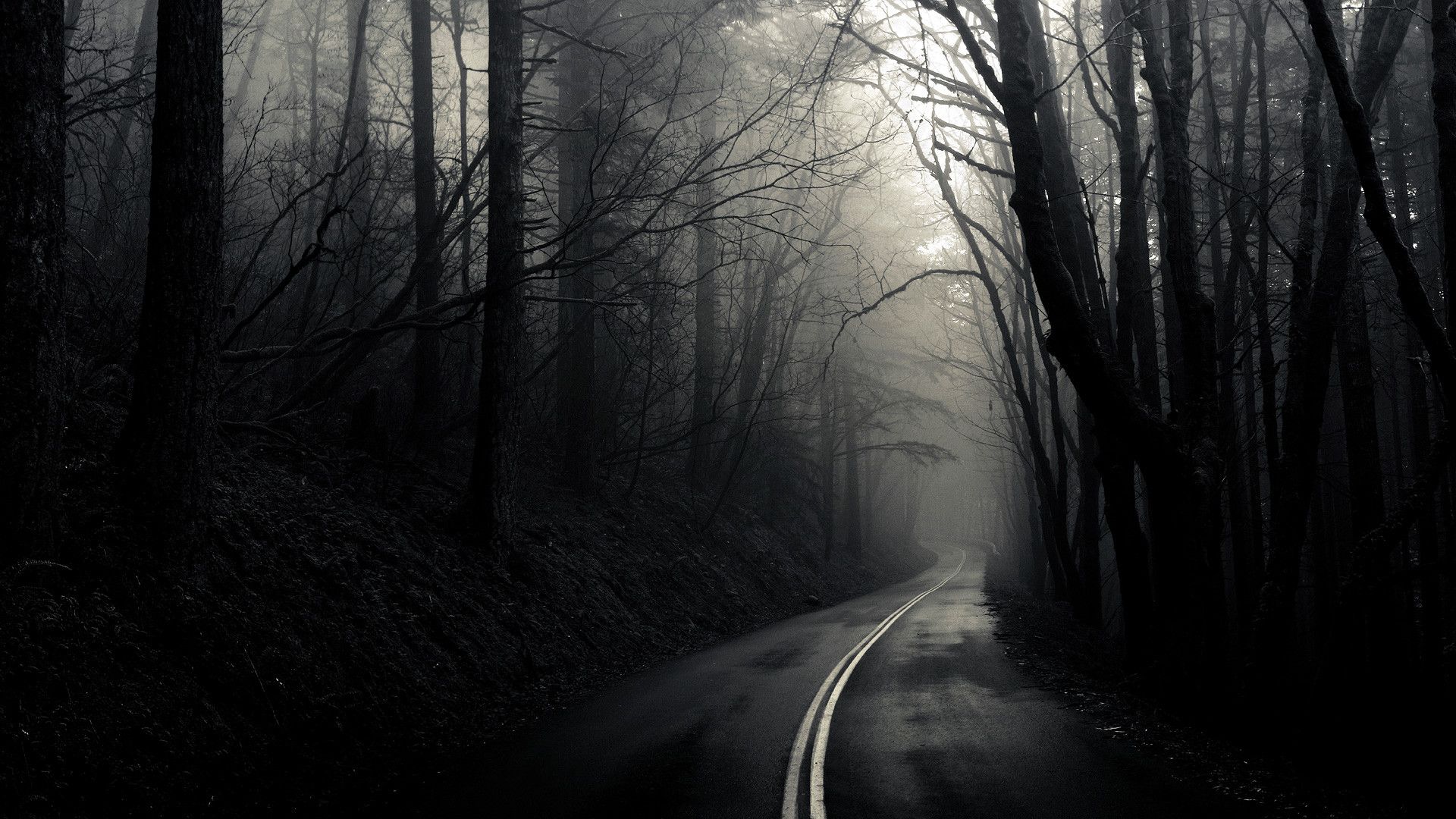 Free download Dark Forest Road HD Wallpaper 1920x1080 ID50995 [1920x1080] for your Desktop, Mobile & Tablet. Explore Dark Road Wallpaper. Dark Road Wallpaper, Beautiful Road Wallpaper, Road Runner Wallpaper