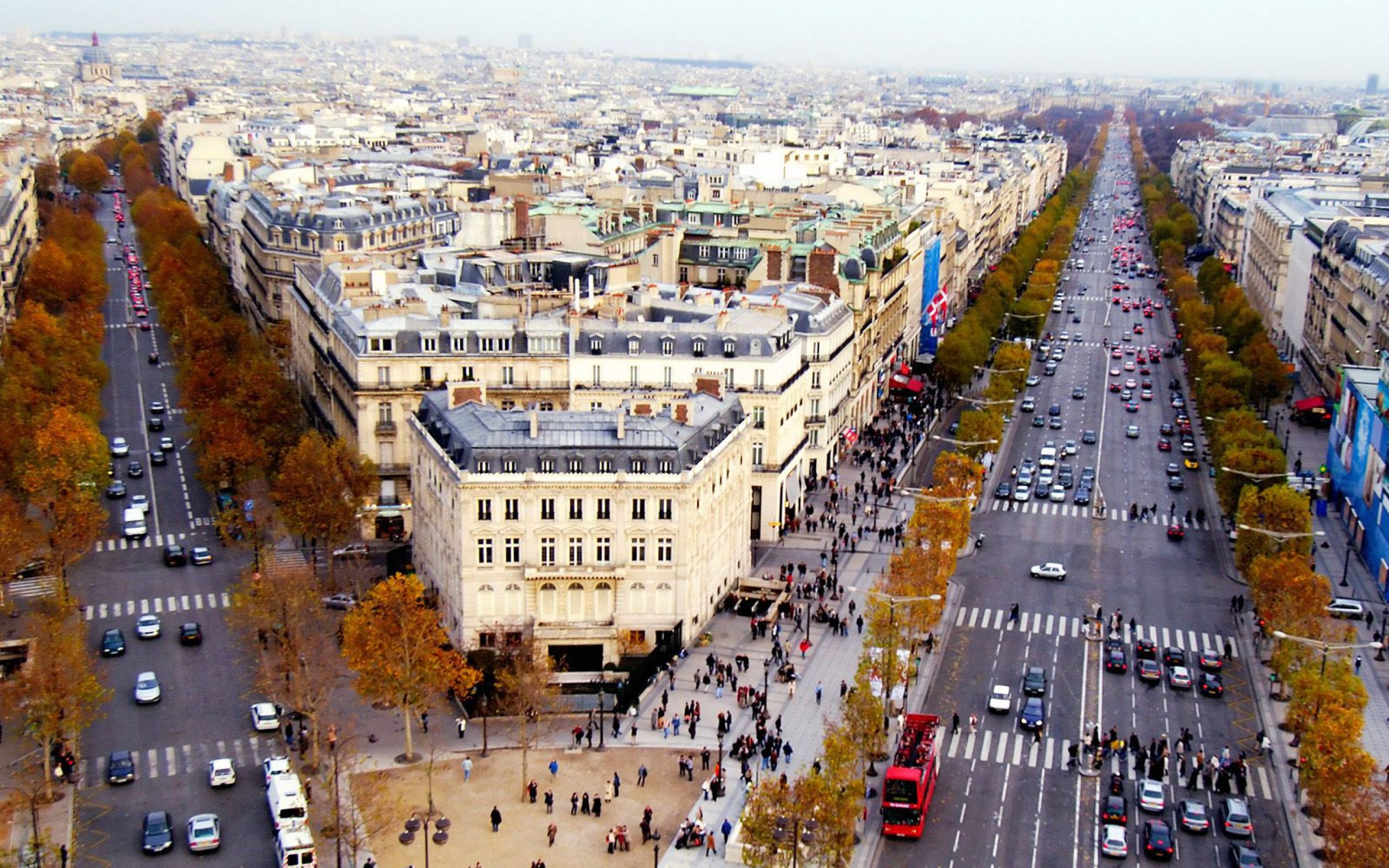 Paris Champs Elysees Avenue 2560x1600, Wallpaper13.com