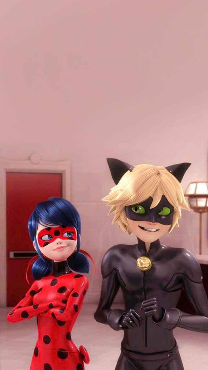 Cat Noir. Miraculous ladybug movie, Miraculous ladybug anime, Miraculous wallpaper