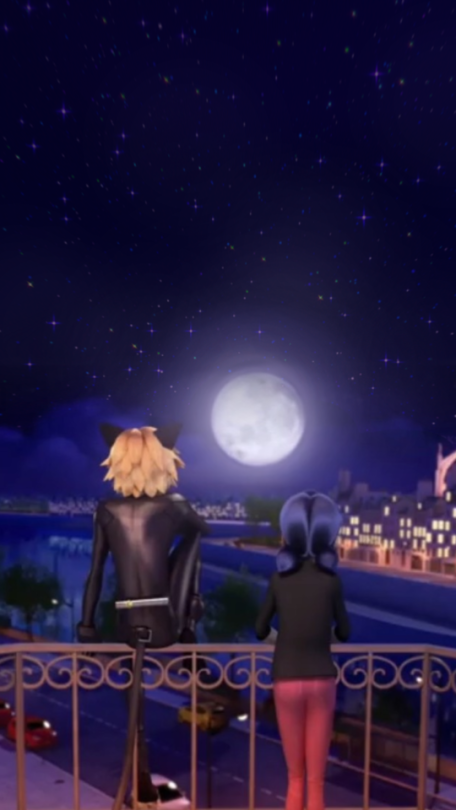 Miraculous Tales Of Ladybug Cat Noir HD Wallpaper