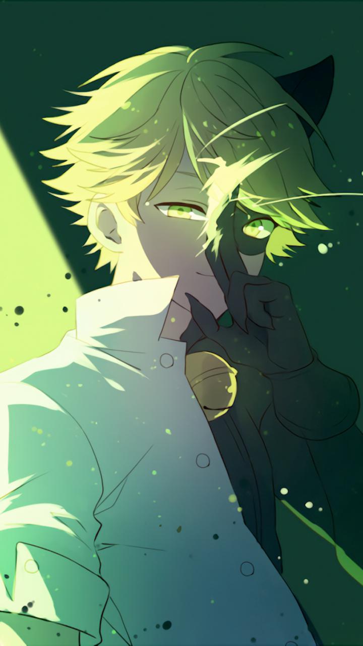 Download Ladybug Image Ladybug And Chat Noir HD Wallpaper Noir Wallpaper HD