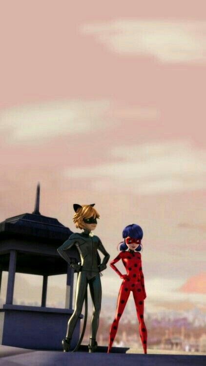 Best of Miraculous Ladybug and Cat noir wallpaper