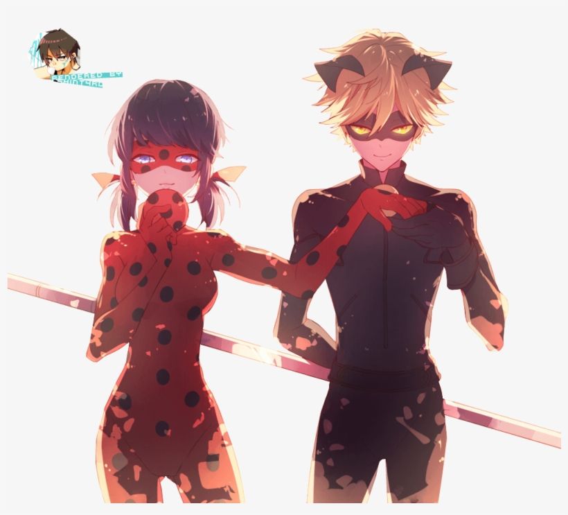 Ladybug And Chat Noir Wallpaper X Cat Noir Fanart Transparent PNG Download on NicePNG