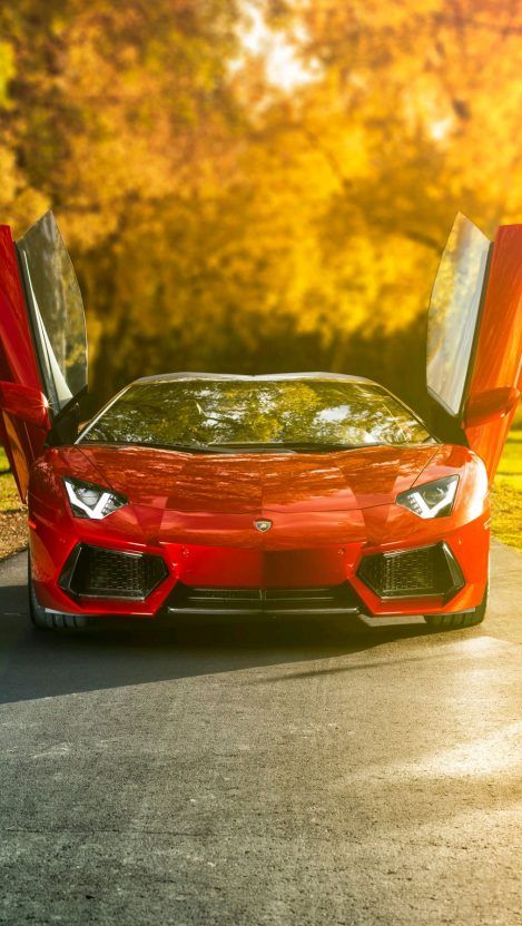 Lamborghini Aventador Open Doors iPhone Wallpaper