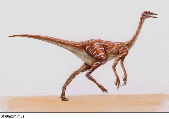 Struthiomimus
