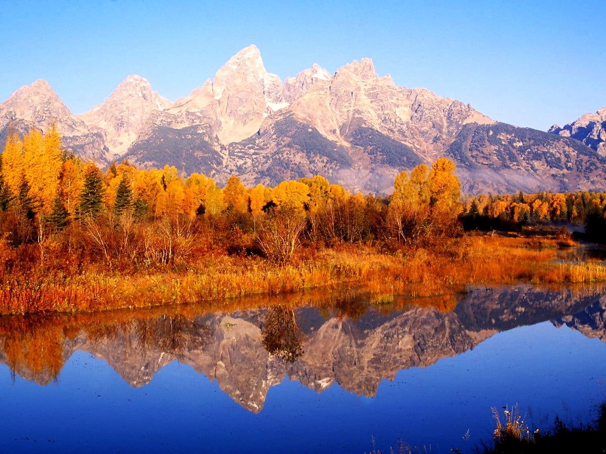 Autumn, Grand Teton National Park, Reflection background. TOP Free picture