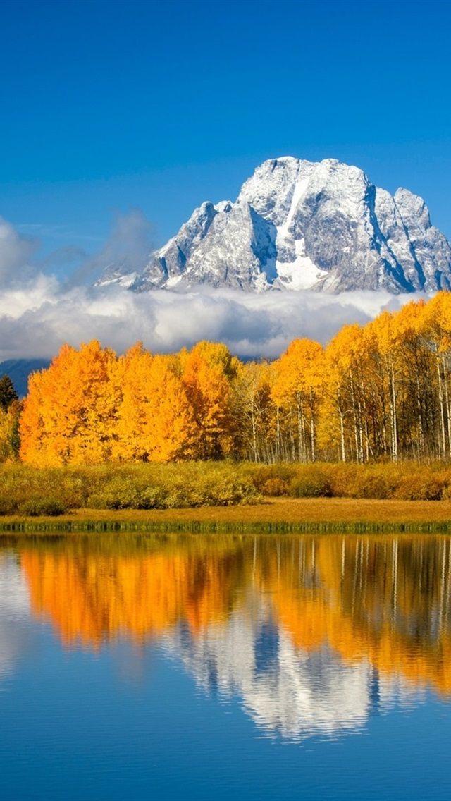Lake, Trees, Mountains, Autumn, USA, Grand Teton National Park 640x1136 IPhone 5 5S 5C SE Wallpaper, Background, Picture, Image