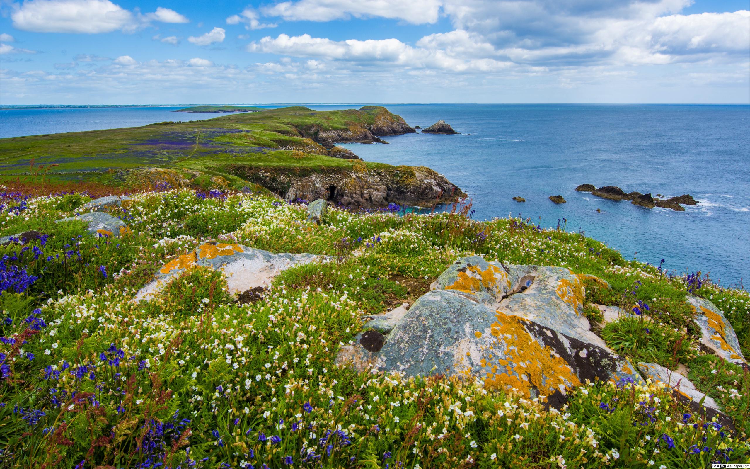 Coast of Ireland HD wallpaper download