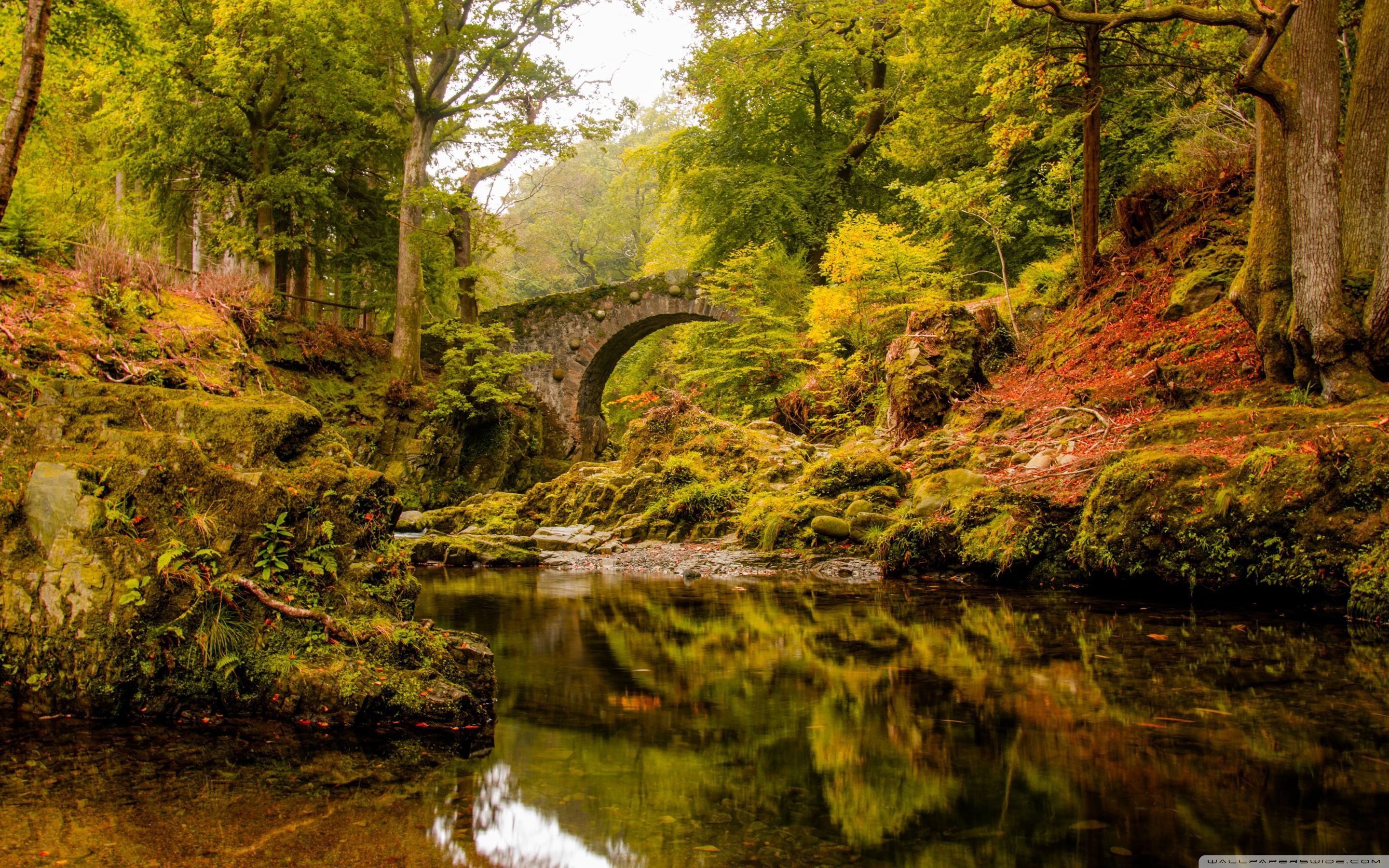 Autumn Bridges Wallpapers Wallpaper Cave 