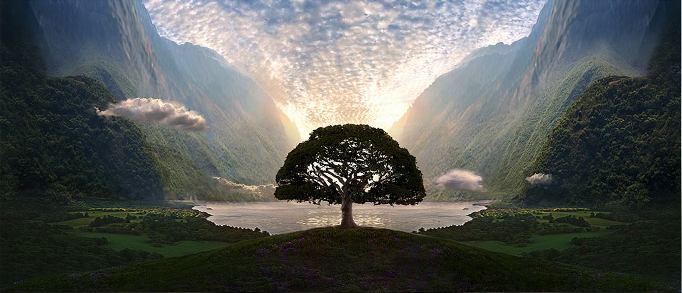 Concept art Lovely Bones (The film) Photo