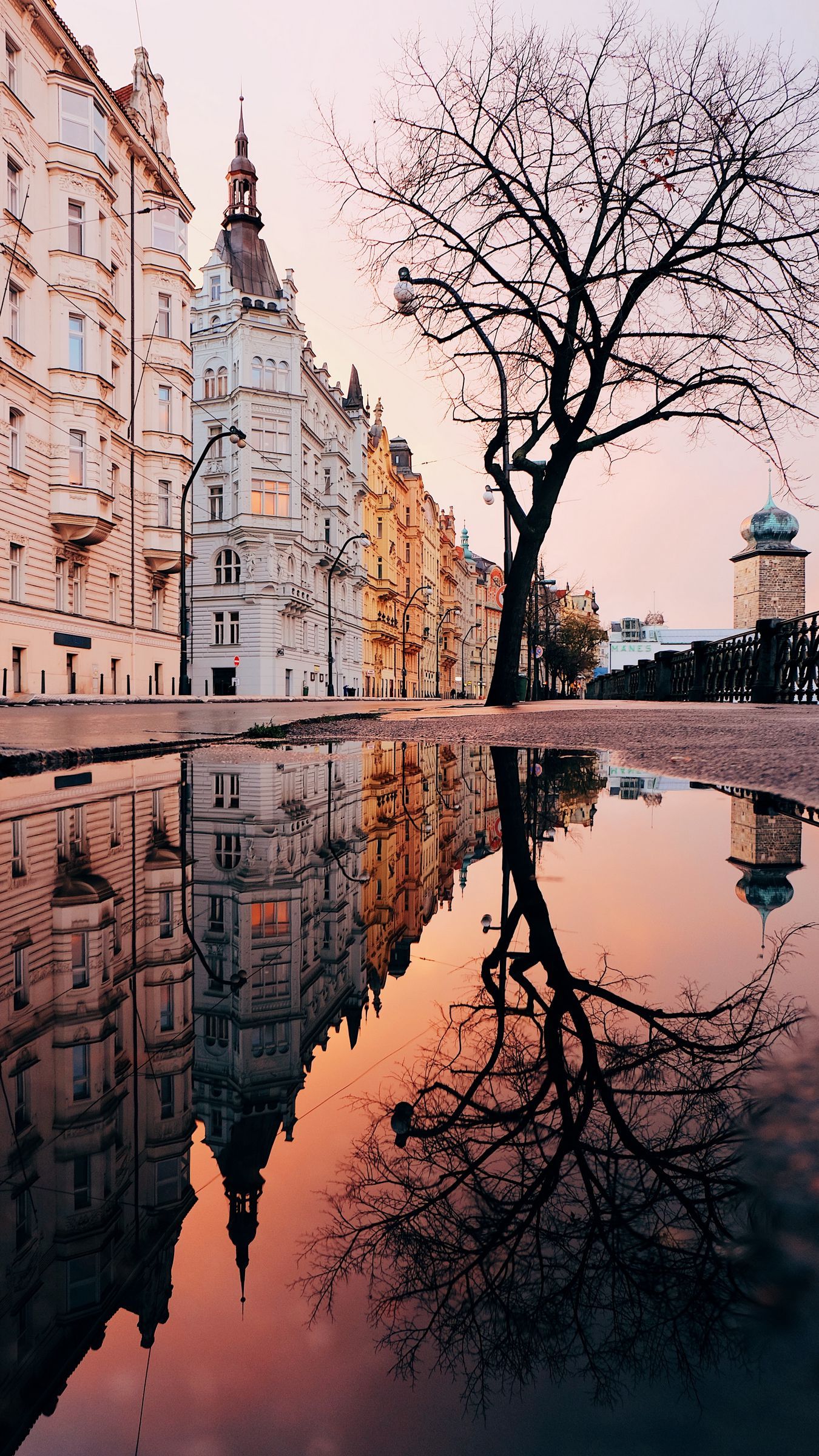 Download wallpaper 1350x2400 architecture, puddle, reflection, city, prague, czechia iphone 8+/7+/6s+/for parallax HD background