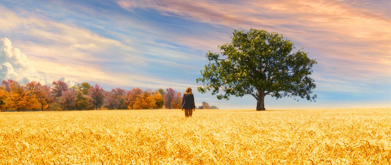 The Lovely Bones. divinations: reflections on the (big) screen