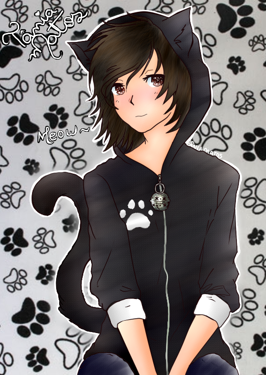 Missa Sinfonia Fanclub: 2017