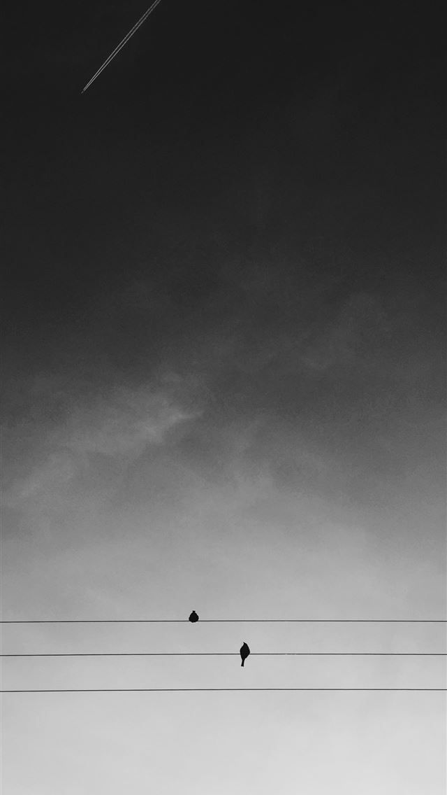 Best Copenhagen iPhone HD Wallpaper