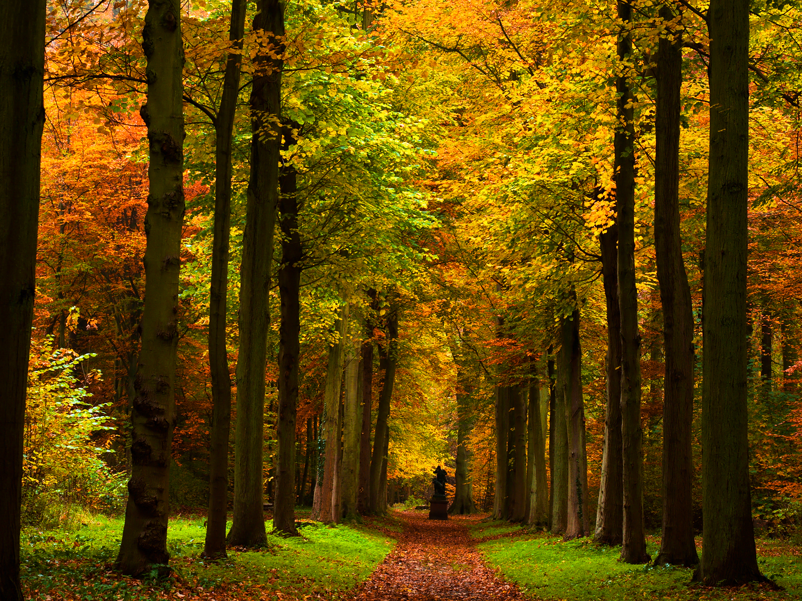 Autumn Path wallpaper. Forest falls, Autumn scenery, Fall picture