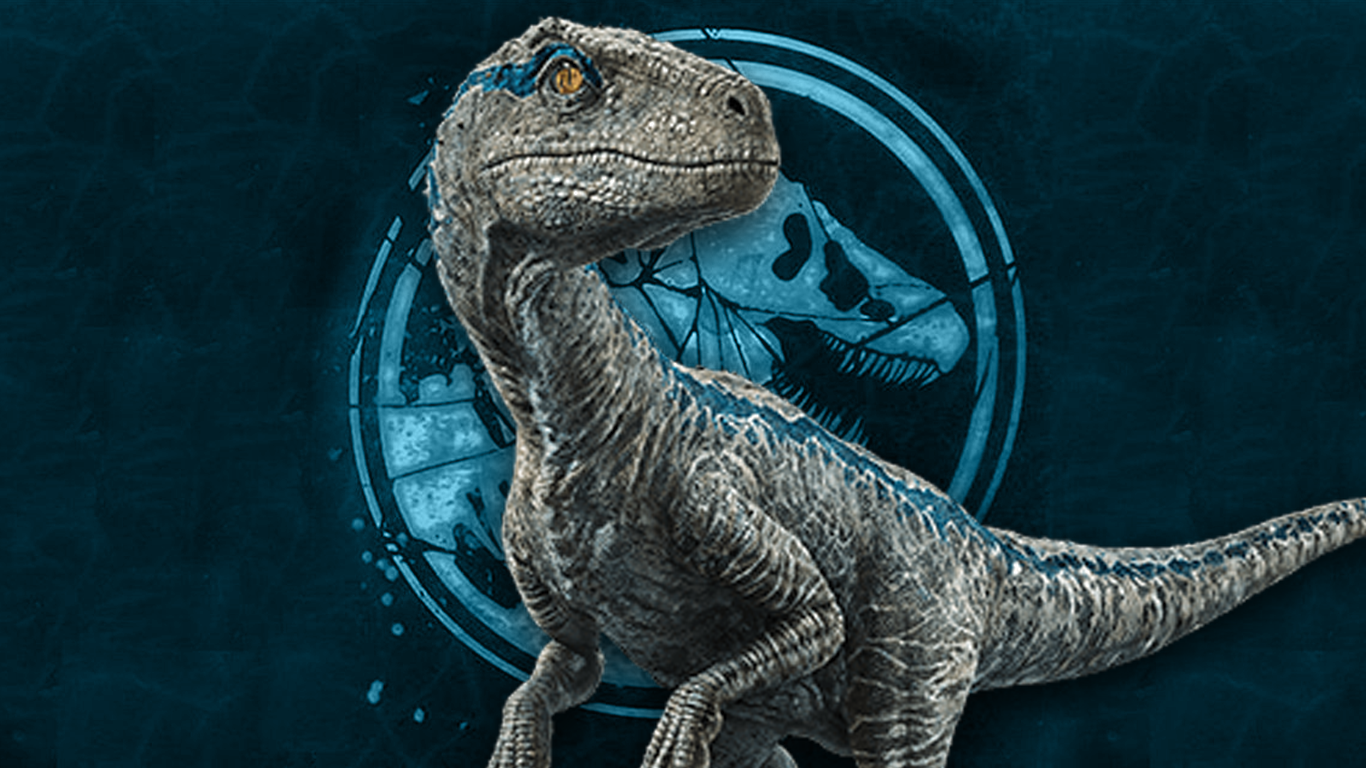 Blue the raptor wallpaper