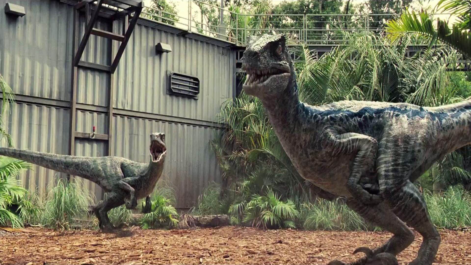 Jurassic Park Velociraptor Wallpaper