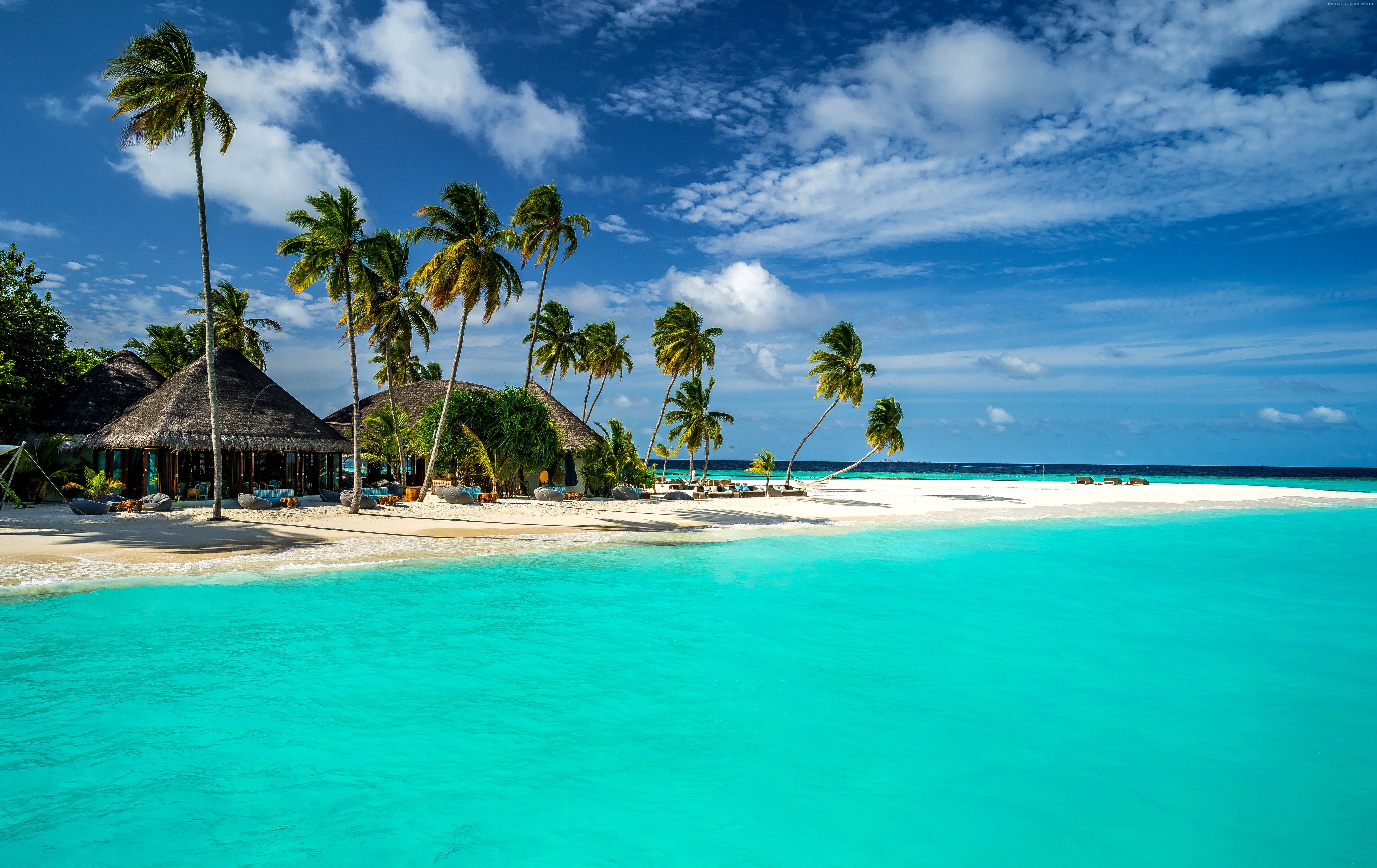 k wallpaper, #Maldives, #shore, #sky, #Indian Ocean, k, #Best Beaches in the World palms, k. Mocah HD Wallpaper
