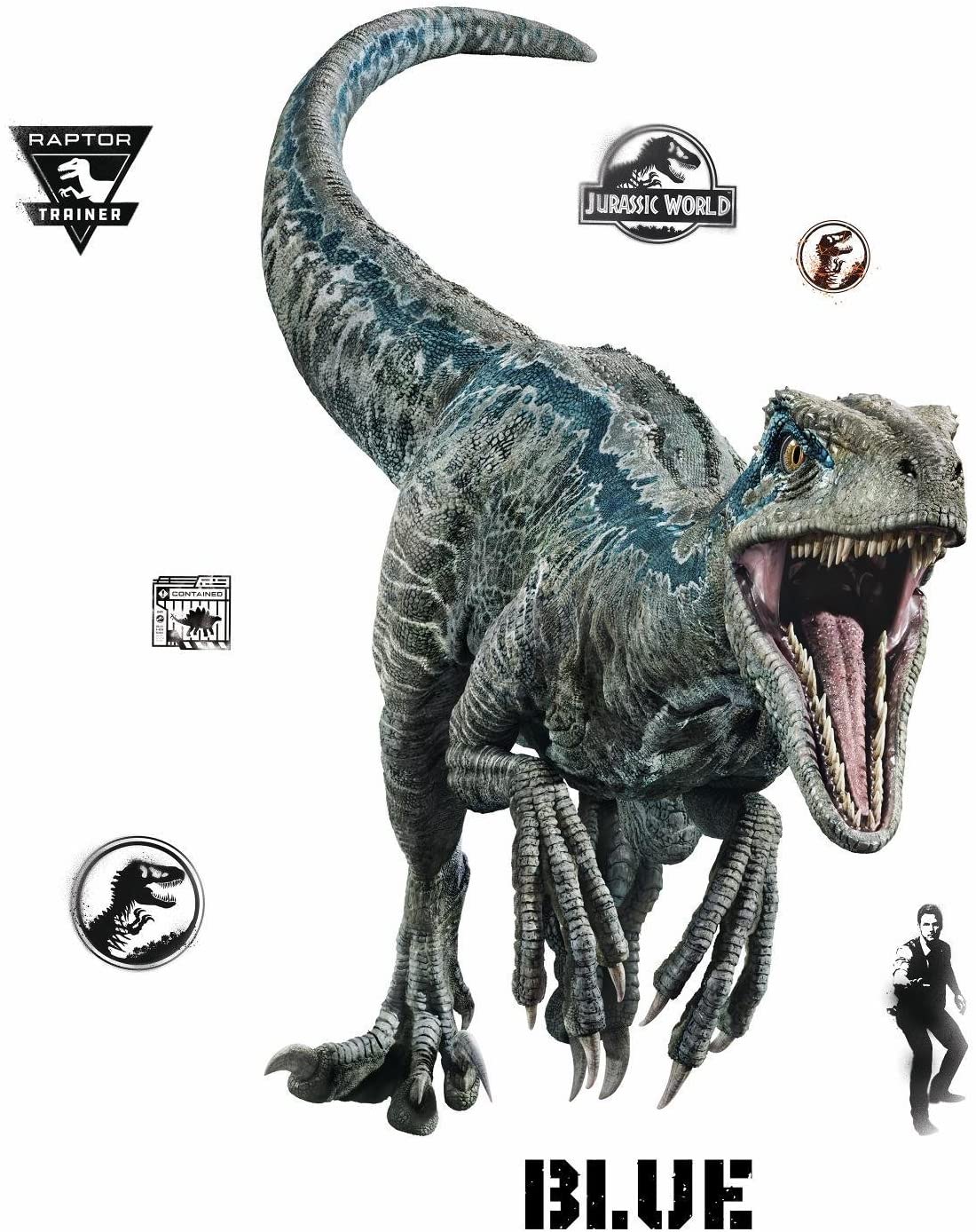 York Wallcoverings Jurassic World: Blue Velociraptor Giant Wall Decals Dinosaurs Stickers Decor: Home & Kitchen