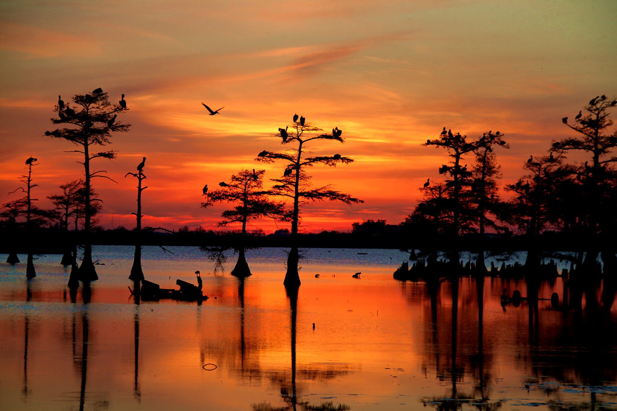Louisiana Bayou Sunset HD Wallpaper