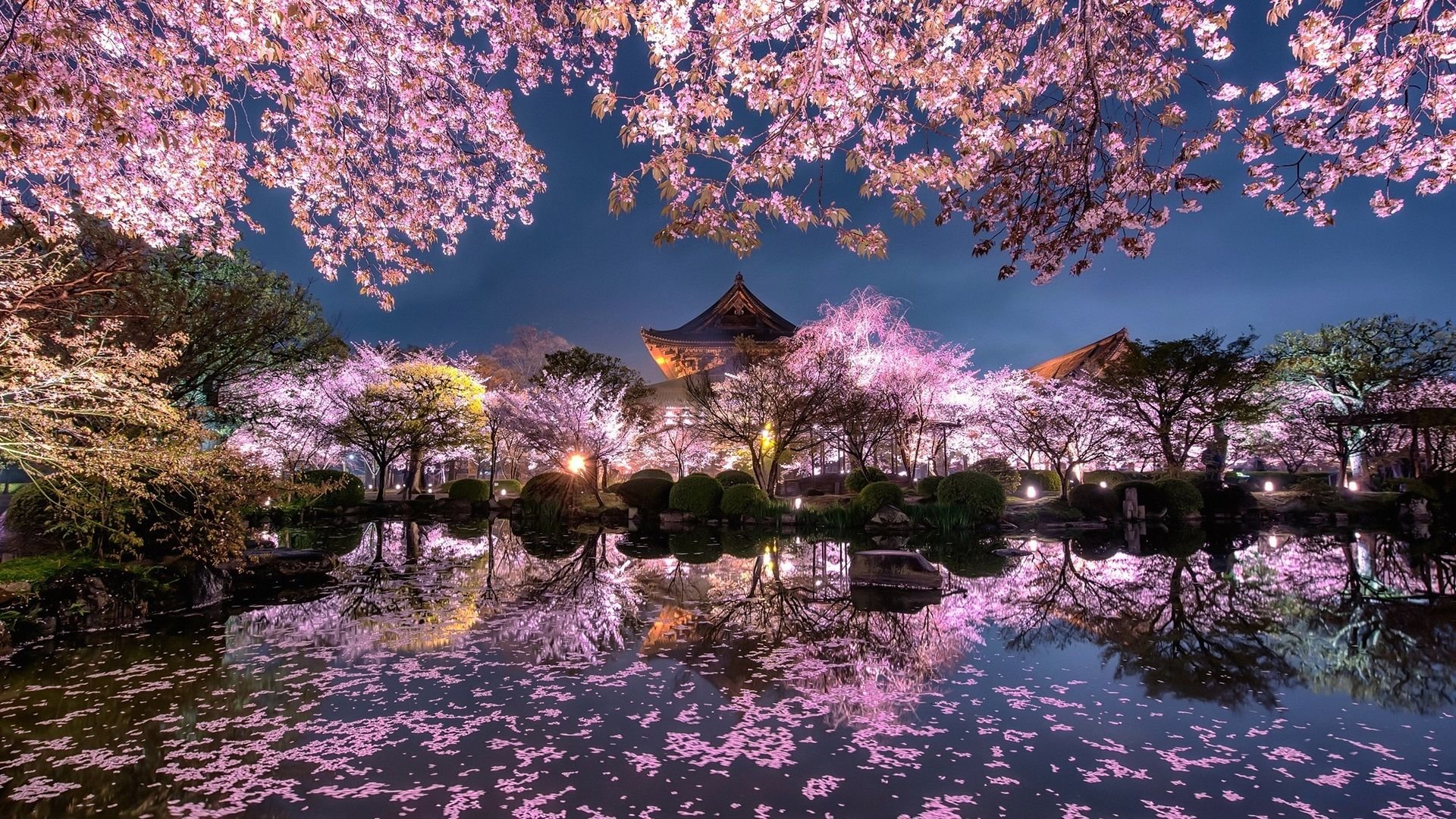 HD wallpaper: Cherry Blossom , Japan, Trees, 4k, HD wallpaper, park, pink |  Wallpaper Flare