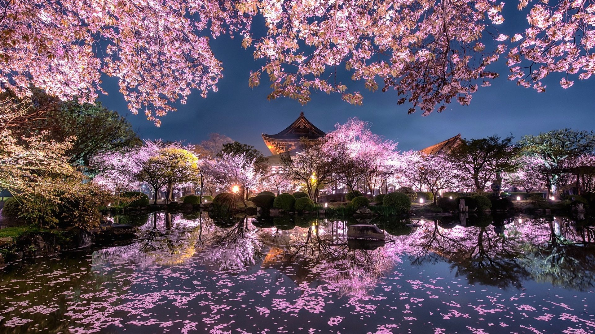 Japanese Cherry Blossom Tree Wallpapers Wallpaper Cave Japanese Cherry Blossom Tree Wallpapers Wallpaper Cave