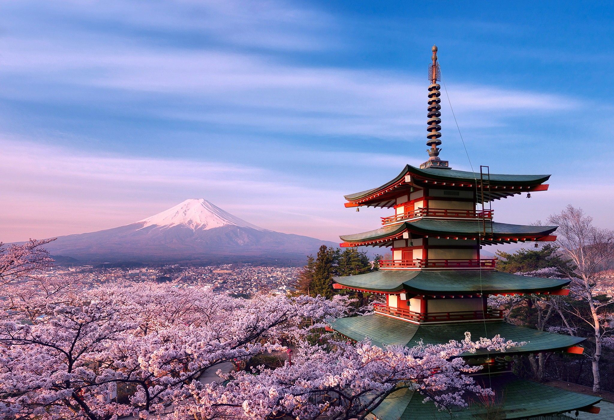 Japan Cherry Blossom Wallpaper