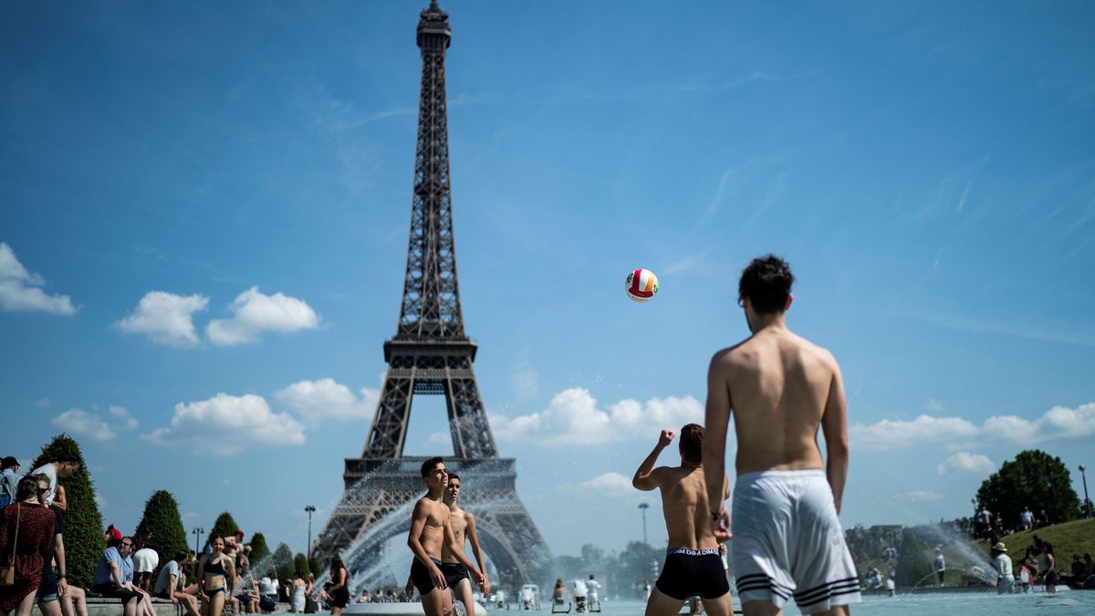Europe heat wave 2019 photo: how humans, and zoo animals, cool off