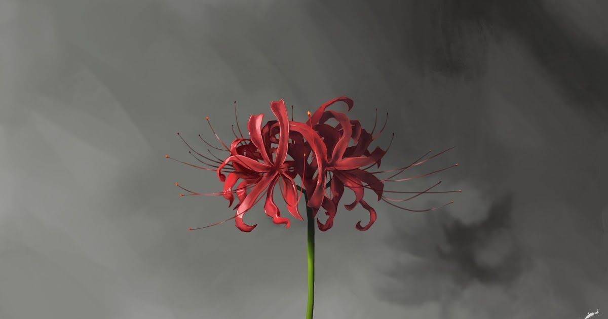 24++ Anime Red Spider Lily Wallpaper