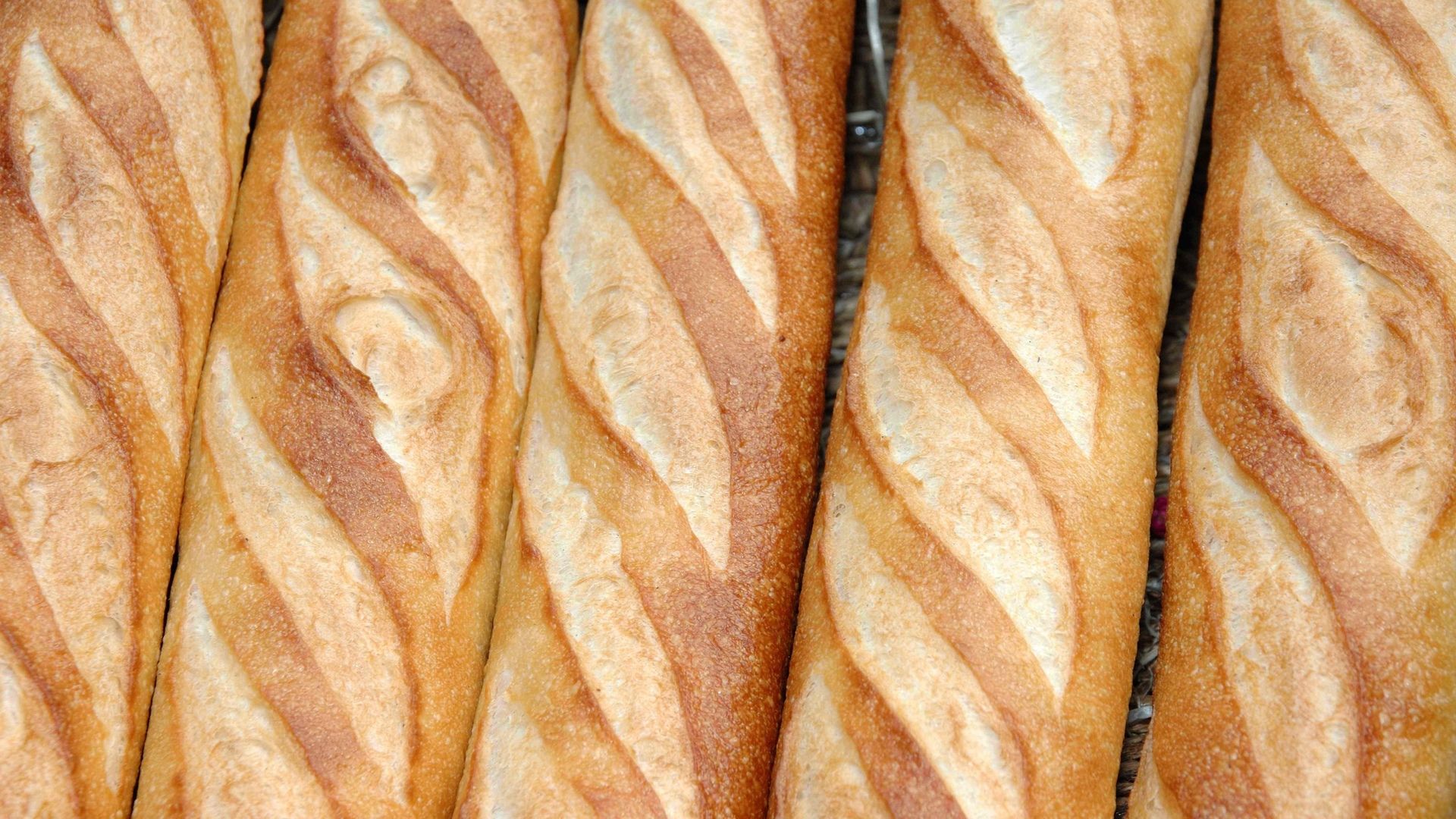 baguette HD wallpaper, background